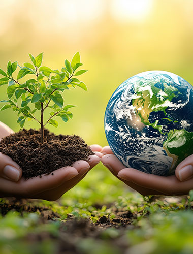環境保護
